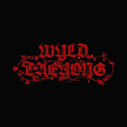 TAEYONG (NCT) 1st Full Album [WYLD] (WYLD BOOK Ver.) - DalkomHarmony